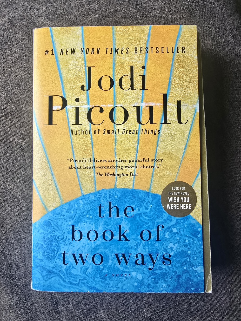 3/$15 Jodi Picoult — The Book of Two Ways (Yellow & Blue Cover)